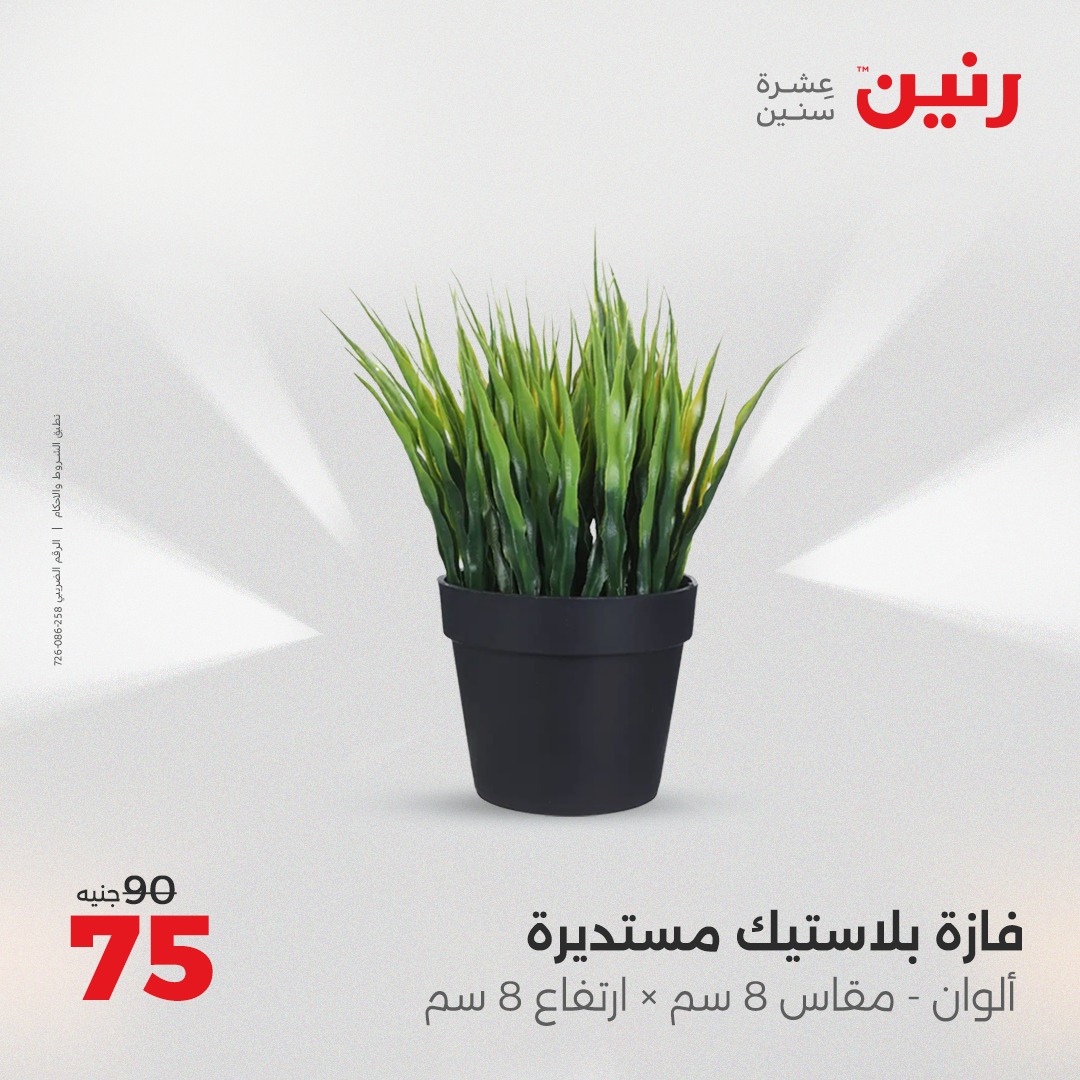 raneen offers from 3aug to 4aug 2025 عروض رنين من 3 أغسطس حتى 4 أغسطس 2025 صفحة رقم 106
